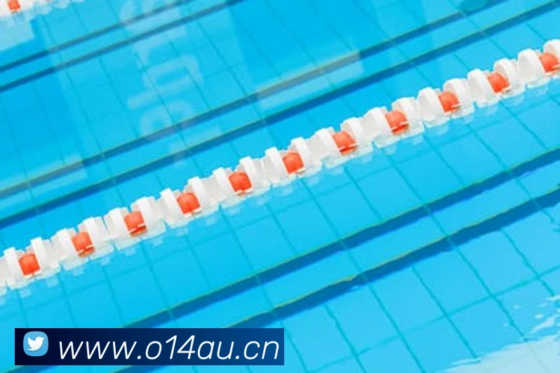 九游最新网站平台生态图